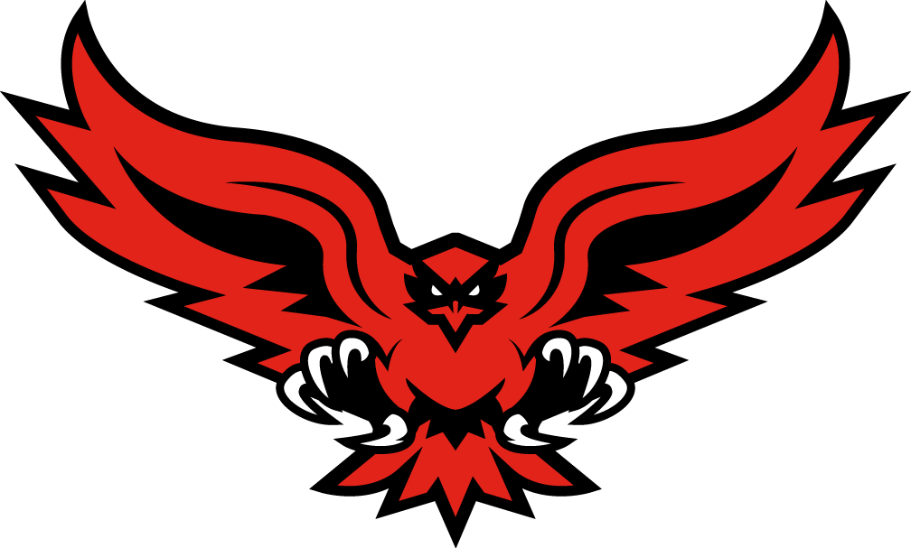 Hartford Hawks 2015-Pres Alternate Logo v2 diy iron on heat transfer